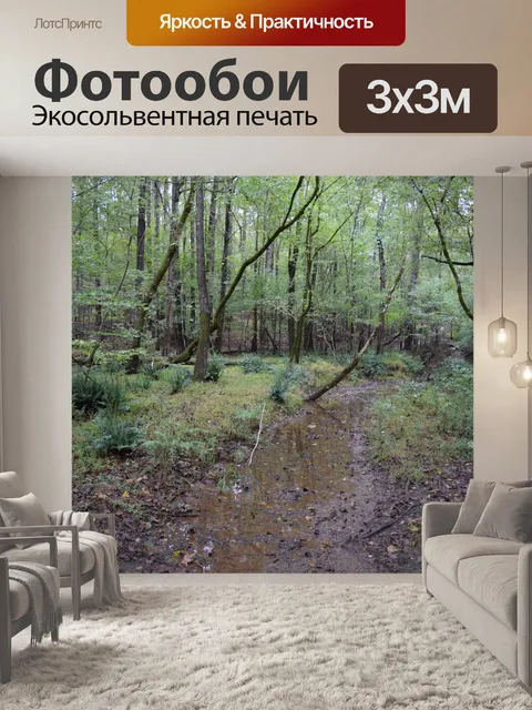 Фотообои Малый ручей