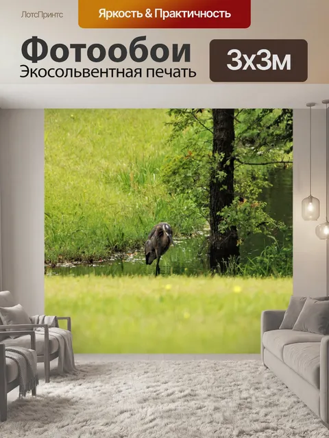 Фотообои Желтая коронованная ночная цапля в пруду