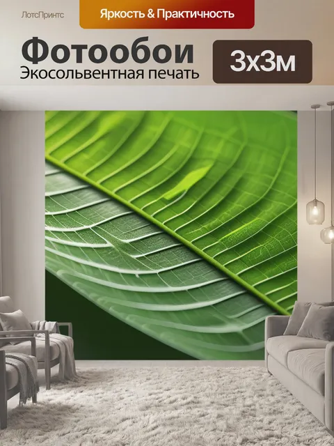 Фотообои пейзаж с листиком минимал