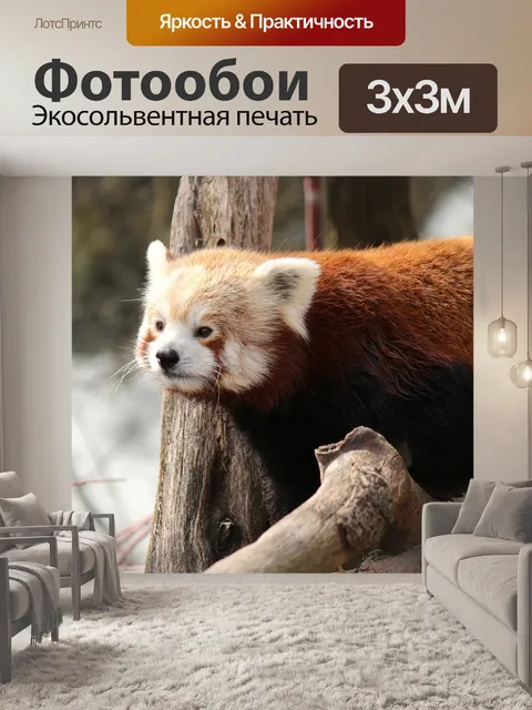 Фотообои Красная панда 2