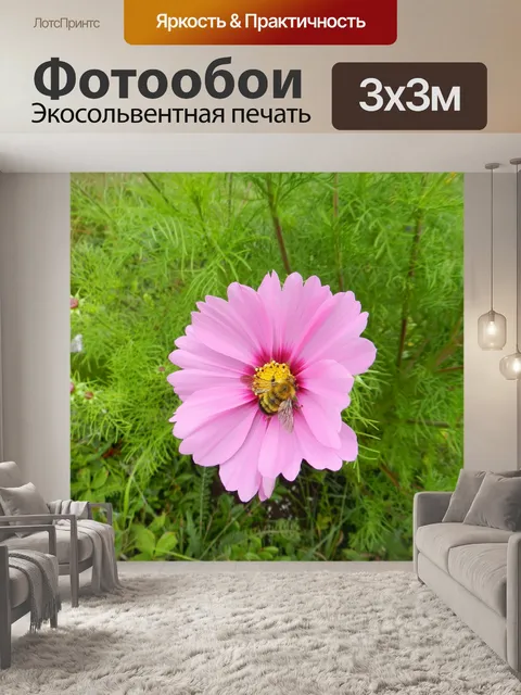 Фотообои Соната и пчела 3