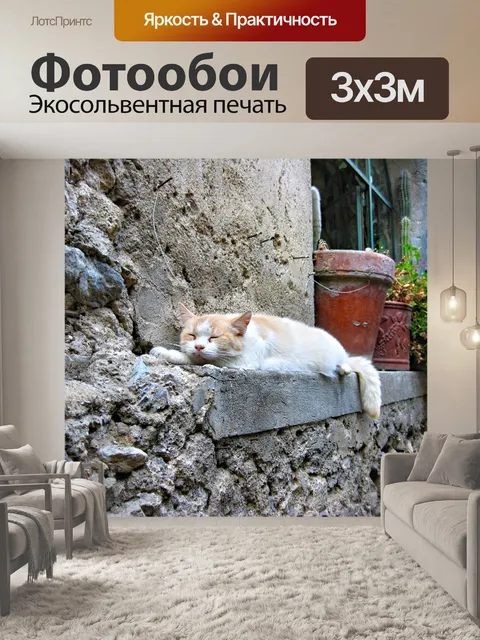 Фотообои Кот