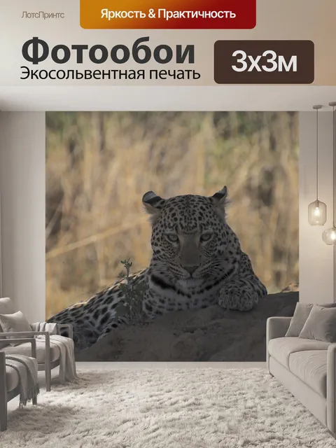 Фотообои Леопард