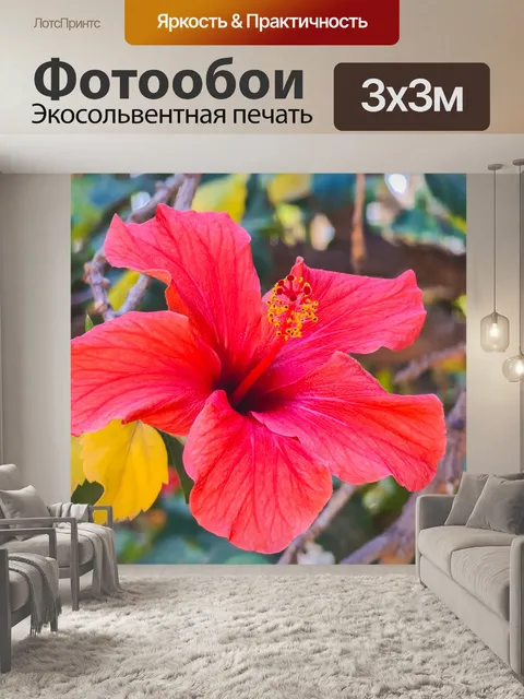 Фотообои Красный цветок гибискуса