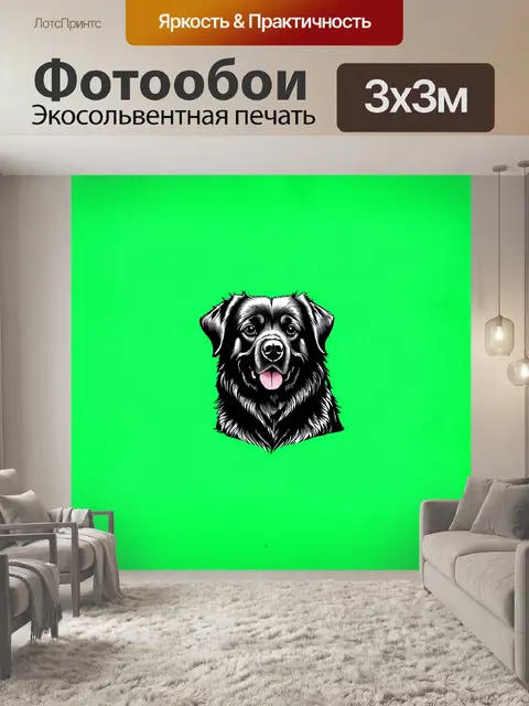 Фотообои сука леонбергера изображена в лаконичном и минималистичном стиле графического дизайна