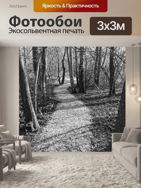 Фотообои Дорожка