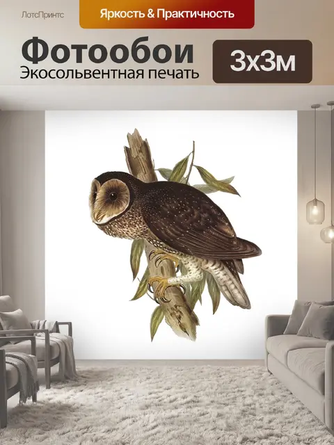 Фотообои Сова Винтаж клипарт наклейки