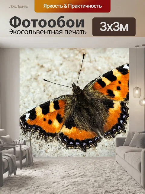Фотообои Бабочка