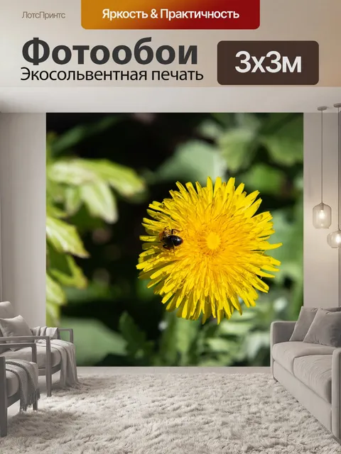 Фотообои Медоносная пчела, пчела, насекомое