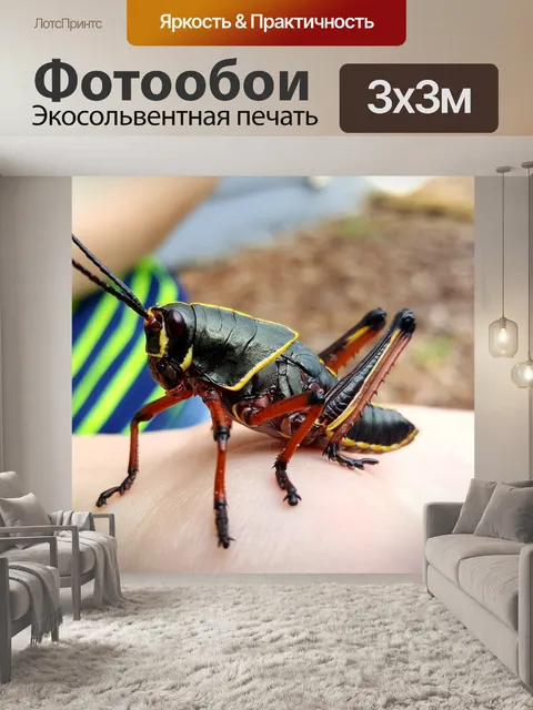 Фотообои Кузнечик