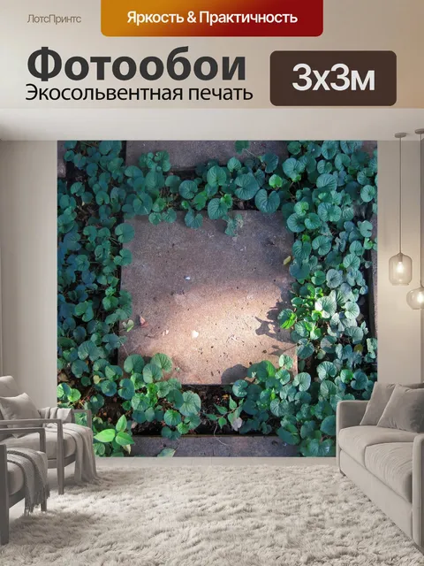 Фотообои Солнечный свет на фиалок