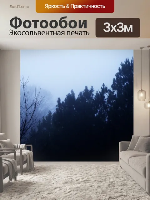 Фотообои Темный деревья, холодный туман II