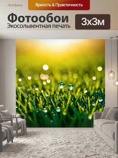 Фотообои утреннее солнце, сверкающее на росе на траве