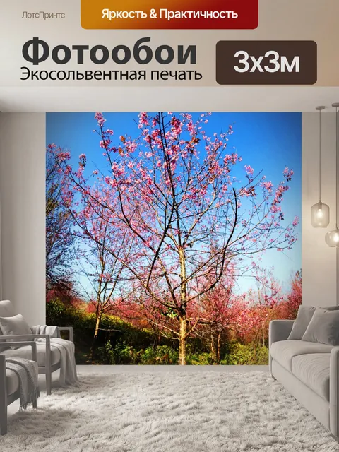 Фотообои Prunus cerasoides, дикая гималайская виш