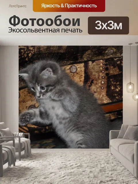 Фотообои Котенок