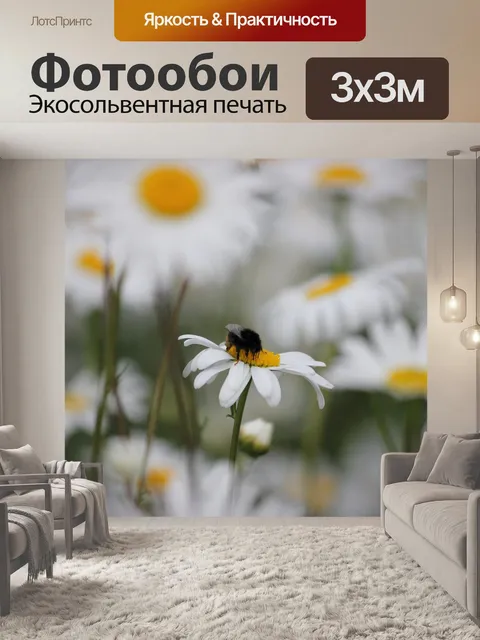 Фотообои Пчела на Дейзи