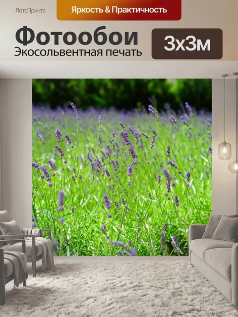 Фотообои Лаванда