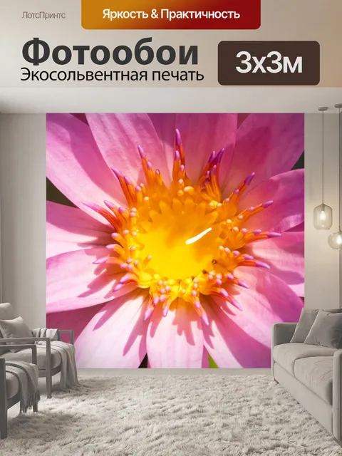 Фотообои Цветок лотоса