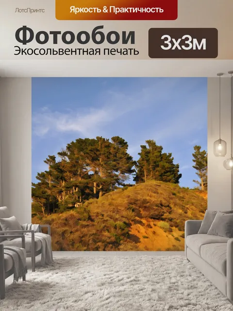 Фотообои Горы, деревья Небо