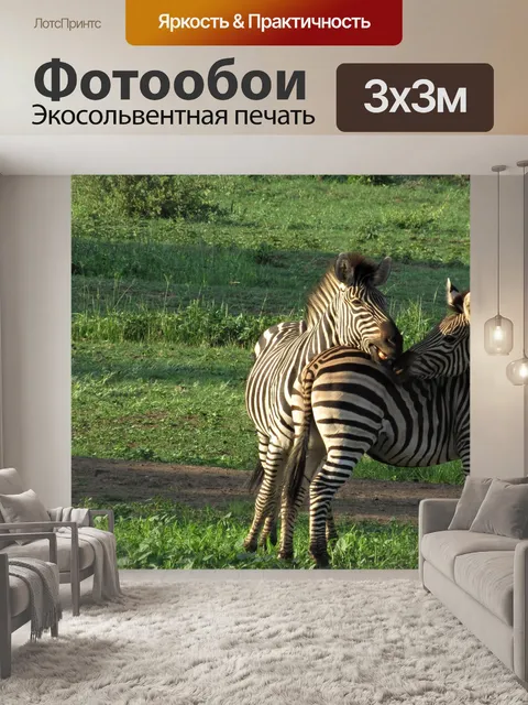 Фотообои Зебры