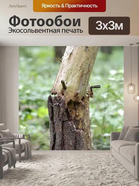 Фотообои Дерево