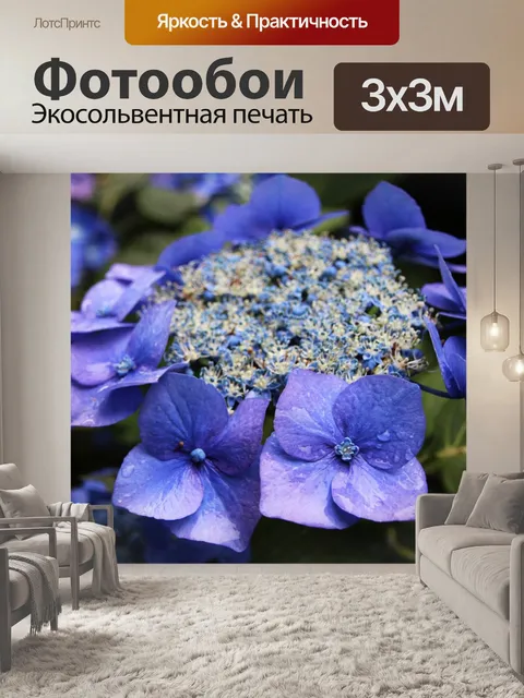 Фотообои Гортензия