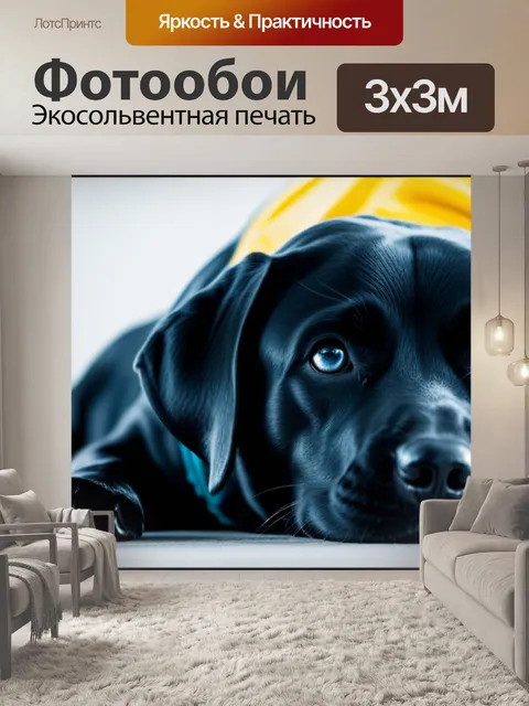 Фотообои с собакой