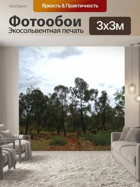 Фотообои вид на лесистую местность на фоне облако