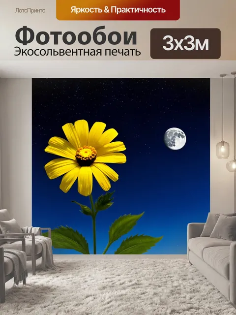 Фотообои гелениум с желтыми лепестками, взмывающий в небо на фоне ночной звезды