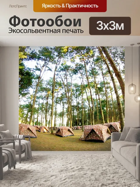 Фотообои кемпинг в сосновом Форрест на Фу Хин Рон