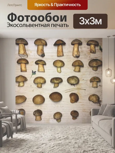 Фотообои Грибы