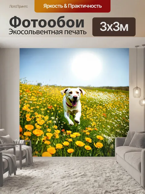 Фотообои солнечный цветочный луг наполнен звуками жизни, а лабрадор бегает между цветами, излучая радость