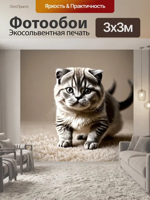 Фотообои промт: "спокойная шотландская вислоухая кошка медленно движется по ковру
