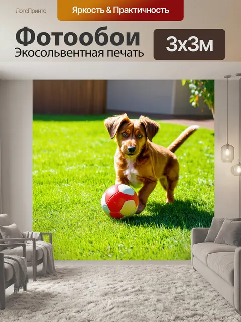 Фотообои коричневый домашний питомец, играющий с мячиком на солнечном дворе