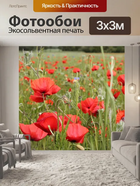 Фотообои Маковое поле