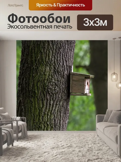 Фотообои Птичий домик