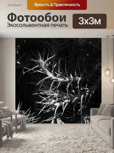Фотообои свет на эпифитное растение