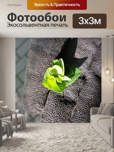 Фотообои Садовник