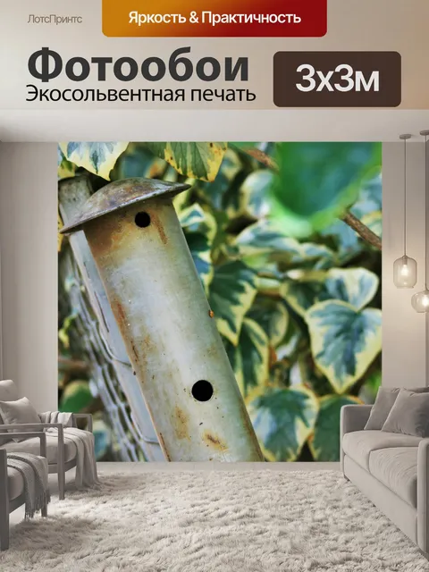 Фотообои плющ толкая над забором