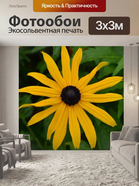 Фотообои Цветок