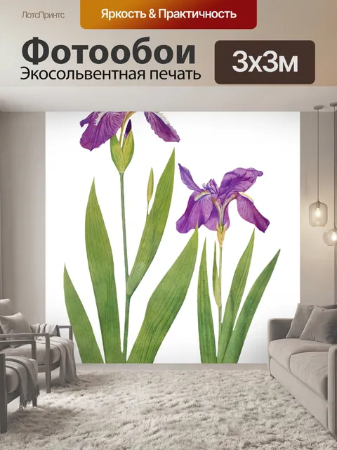 Фотообои Винтажный клипарт цветок ириса