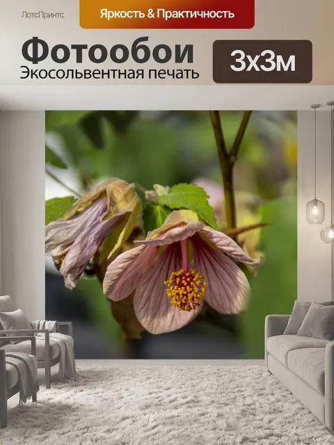 Фотообои розовые цветы
