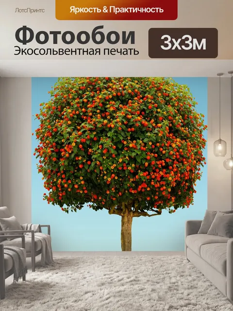 Фотообои Природа