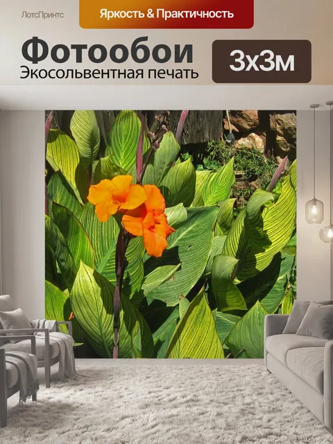 Фотообои Цветущие растения канна