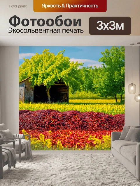 Фотообои прованс: поля, полные вяленого перца, хранятся в старой амбаре, окруженном зелеными деревьями и ароматными…