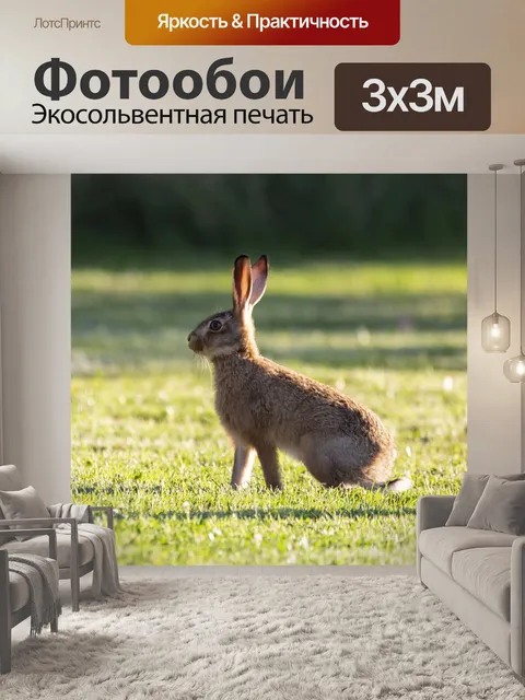 Фотообои Молодой заяц