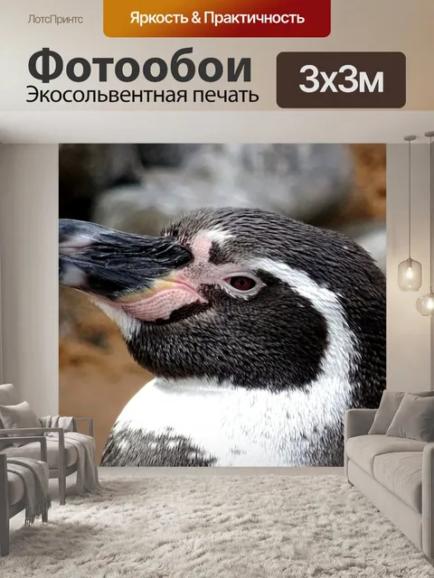 Фотообои Пингвин Вверх