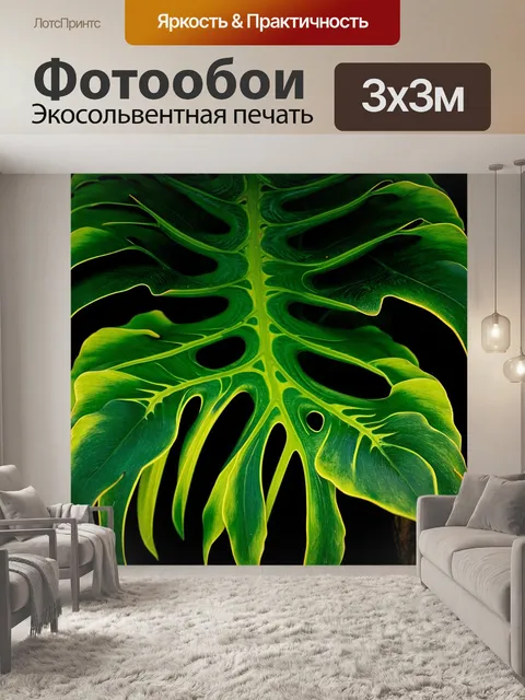 Фотообои пэджетное изображение монстеры с крупным планом на листья, где каждая деталь передаётся максимально