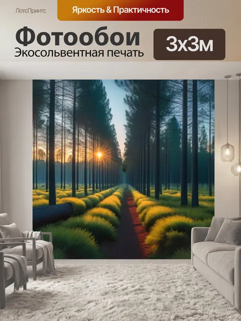 Фотообои рассвет на поляне среди сосен