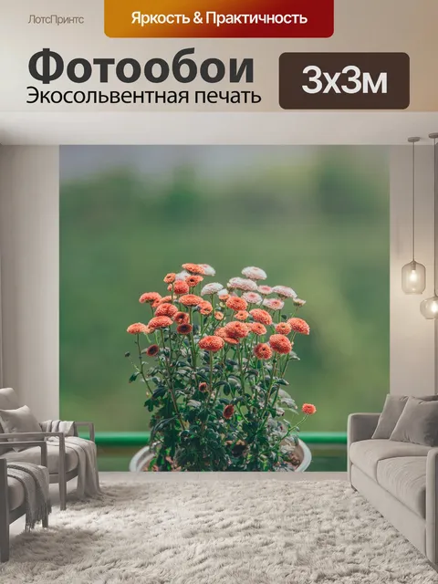 Фотообои Цветы